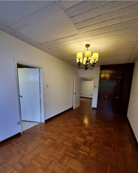 The Cairnhill (D9), Condominium #581143641